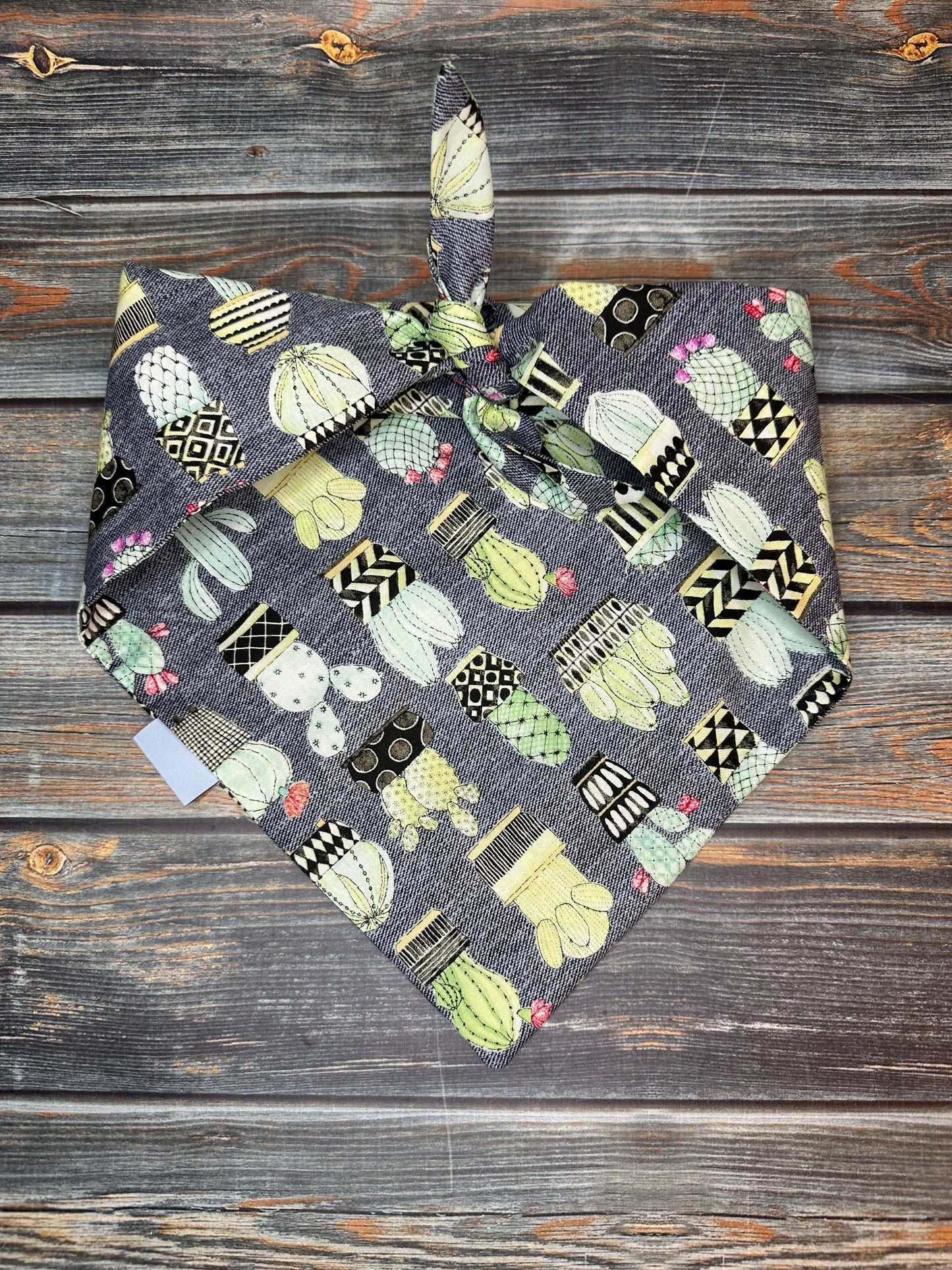 Cactus Dog Bandana