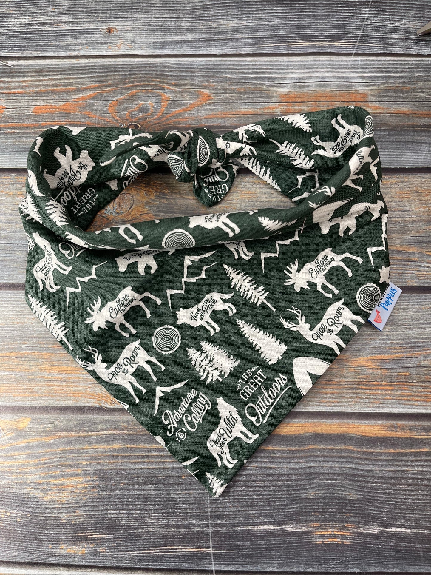 Adventure is Calling Dog Bandana