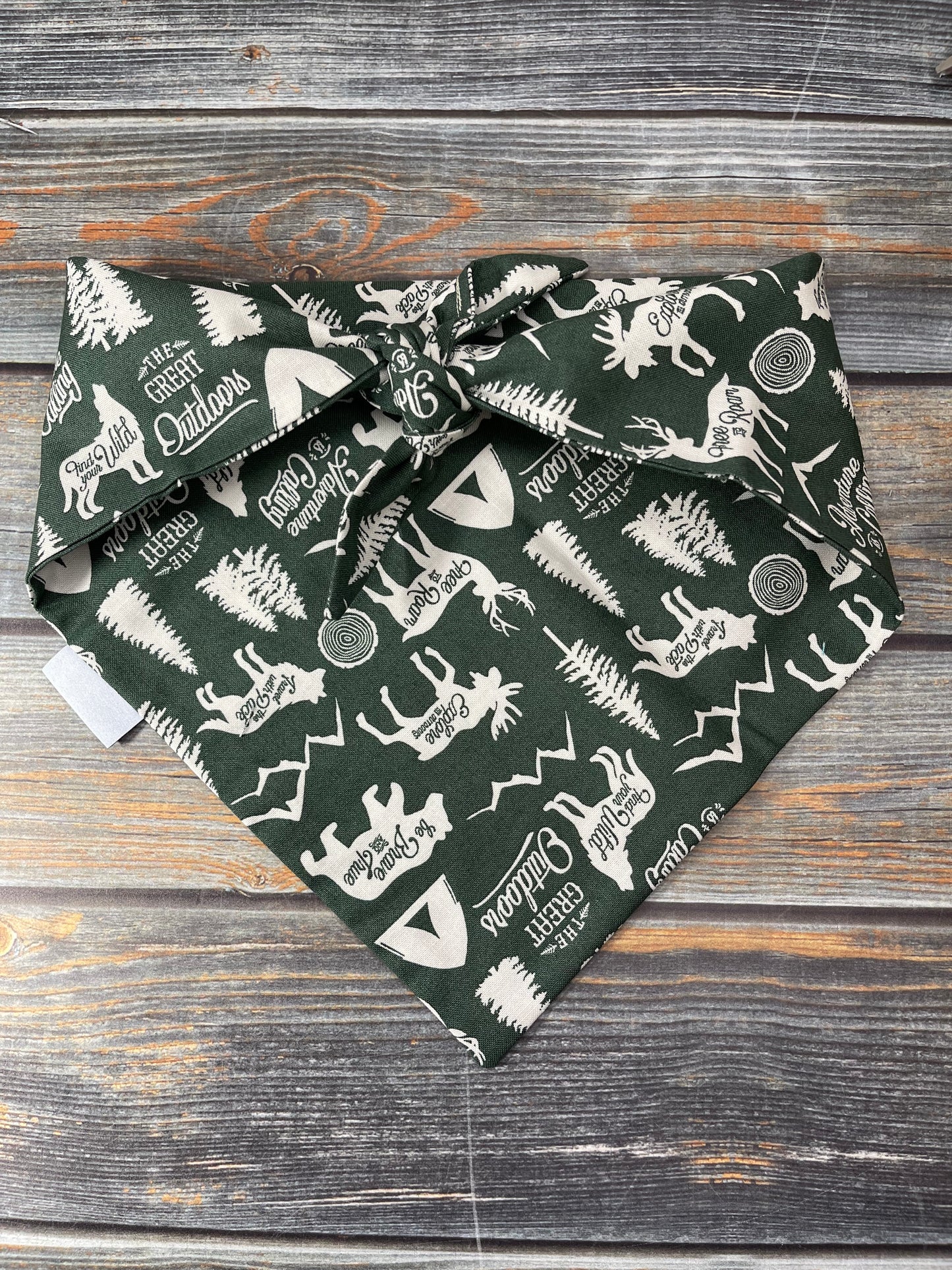 Adventure is Calling Dog Bandana
