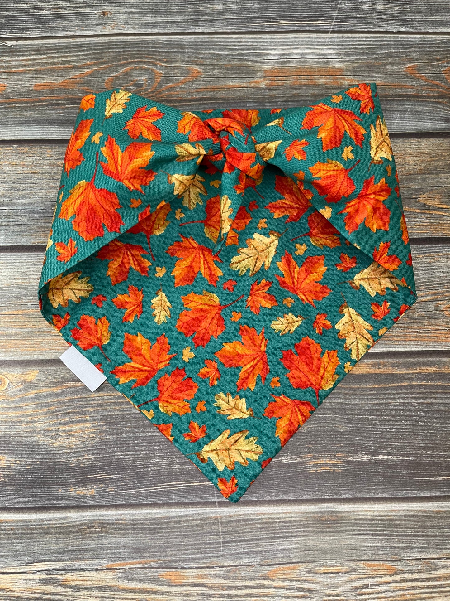 Autumn Foliage Dog Bandana