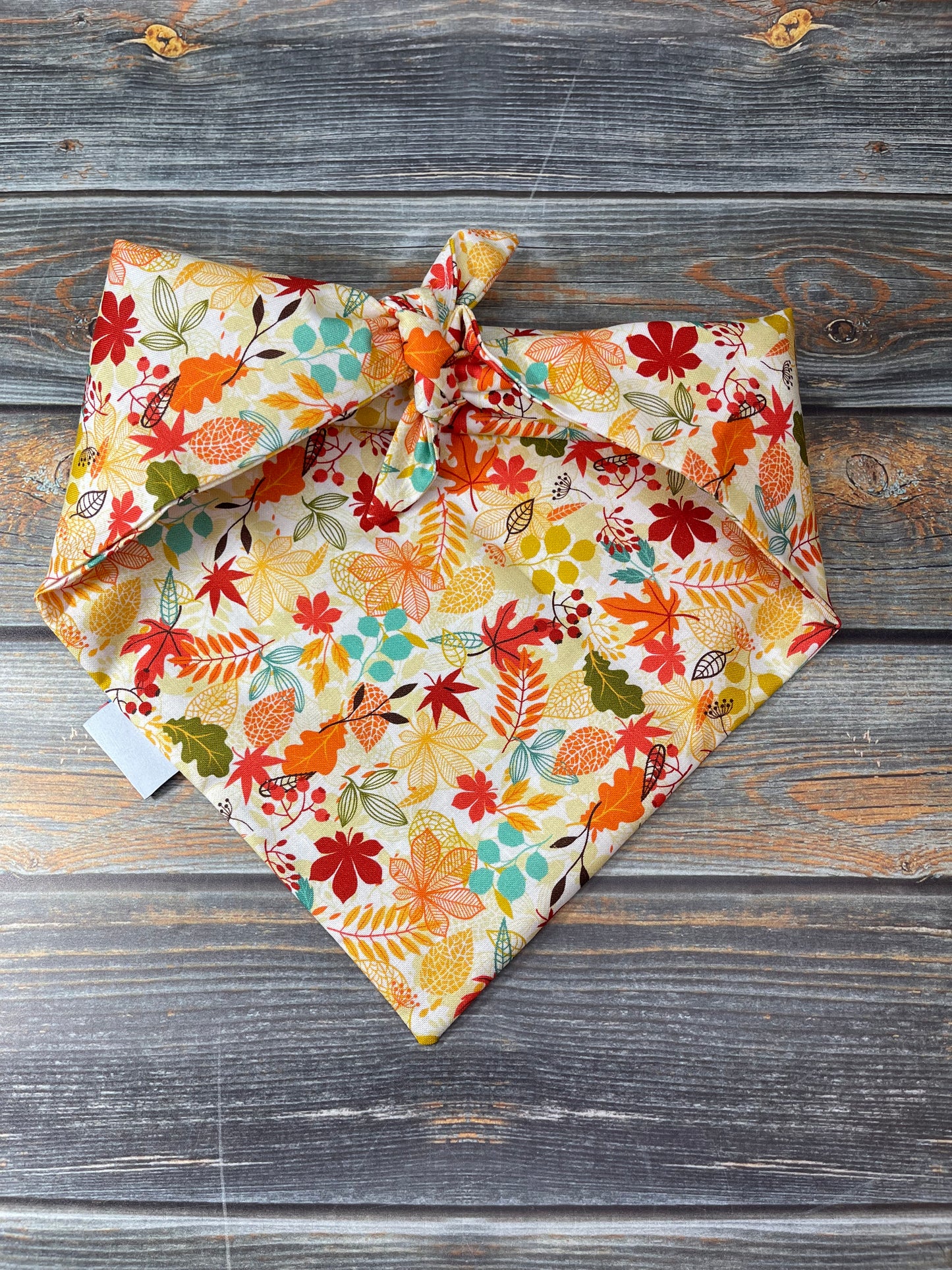 Autumn Leaves Dog Bandana