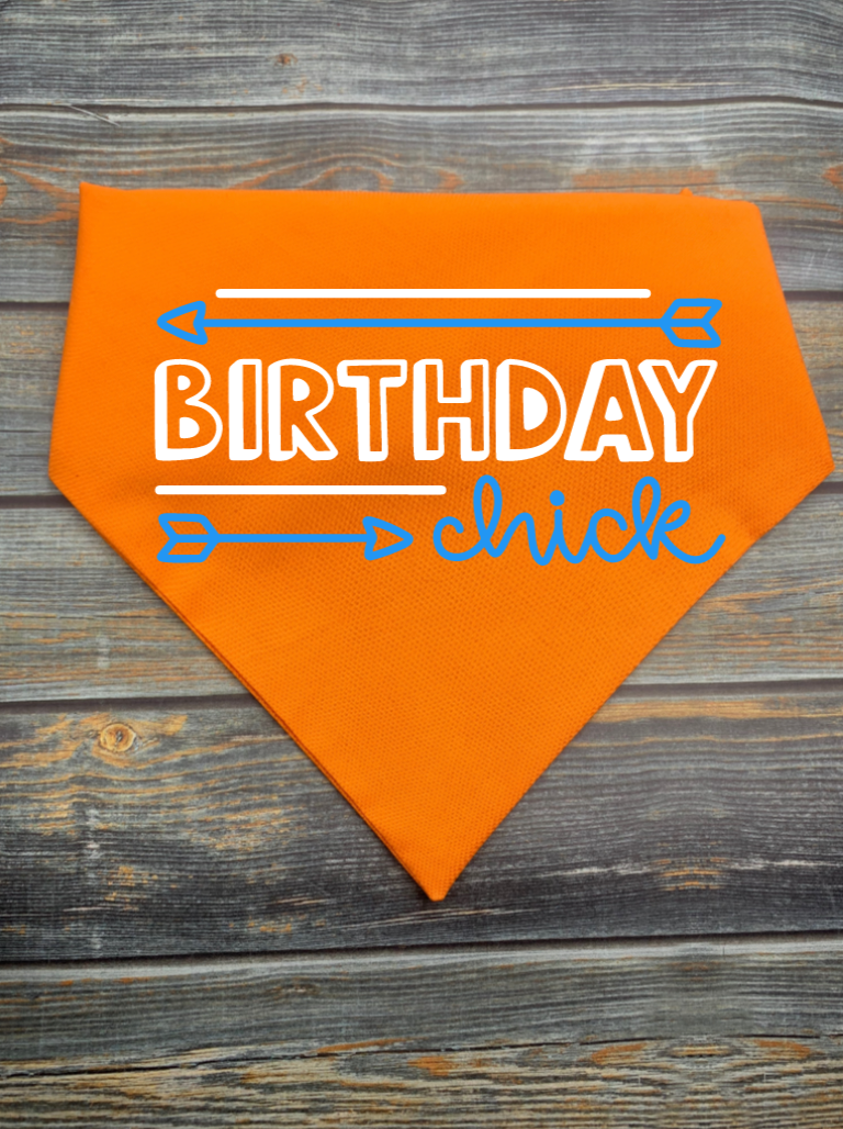 Birthday Chick Dog Bandana
