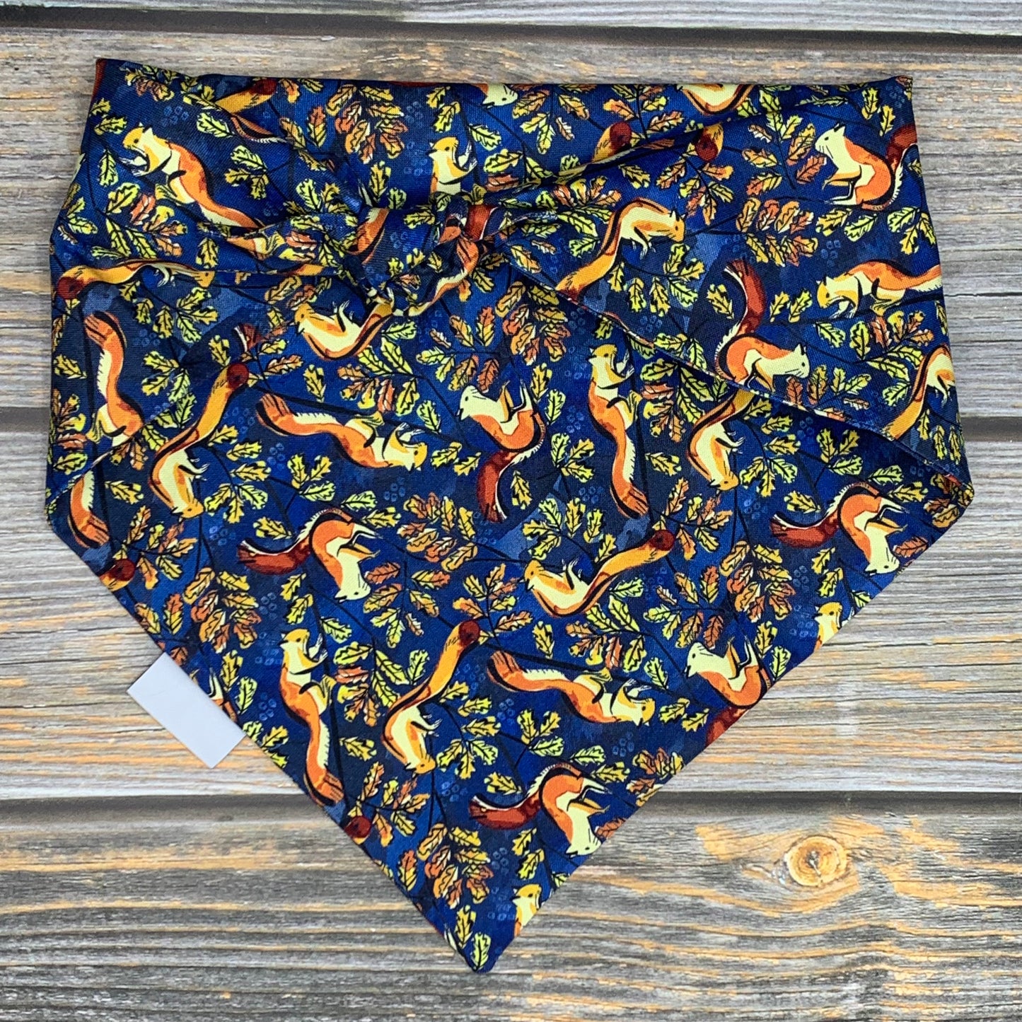 Chipmunks Dog Bandana