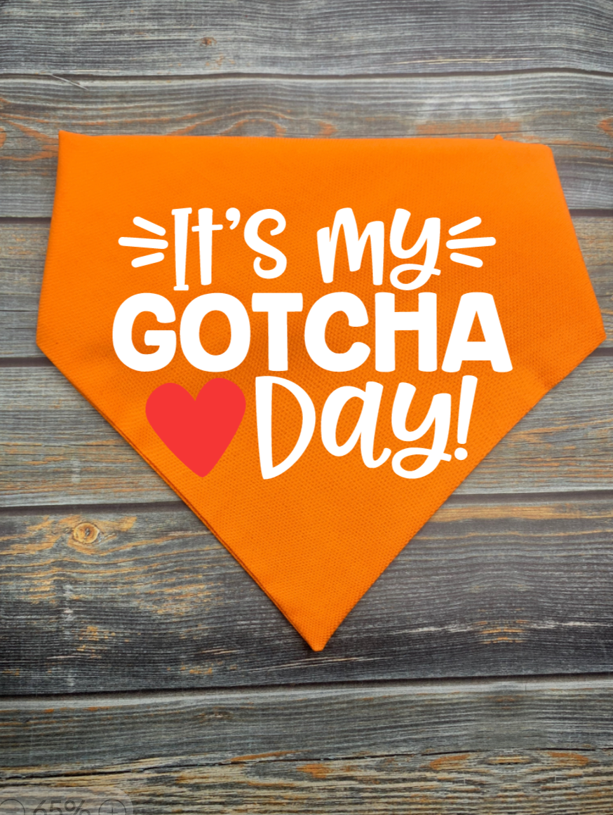 Gotcha Day Dog Bandana
