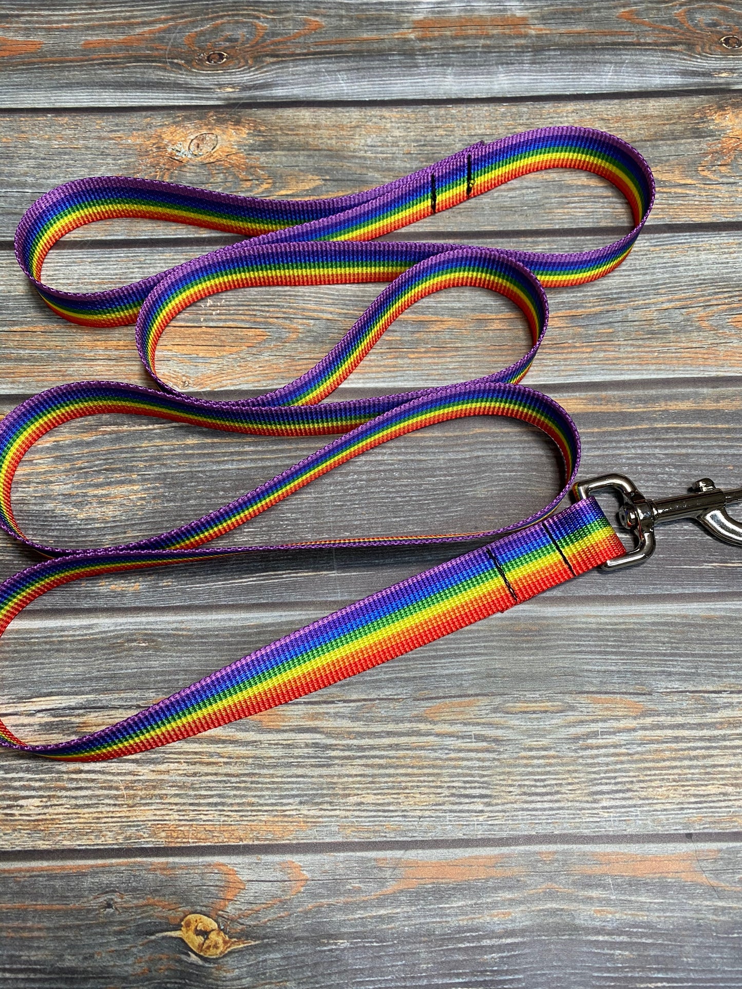 Rainbow Stripe Flat Leash
