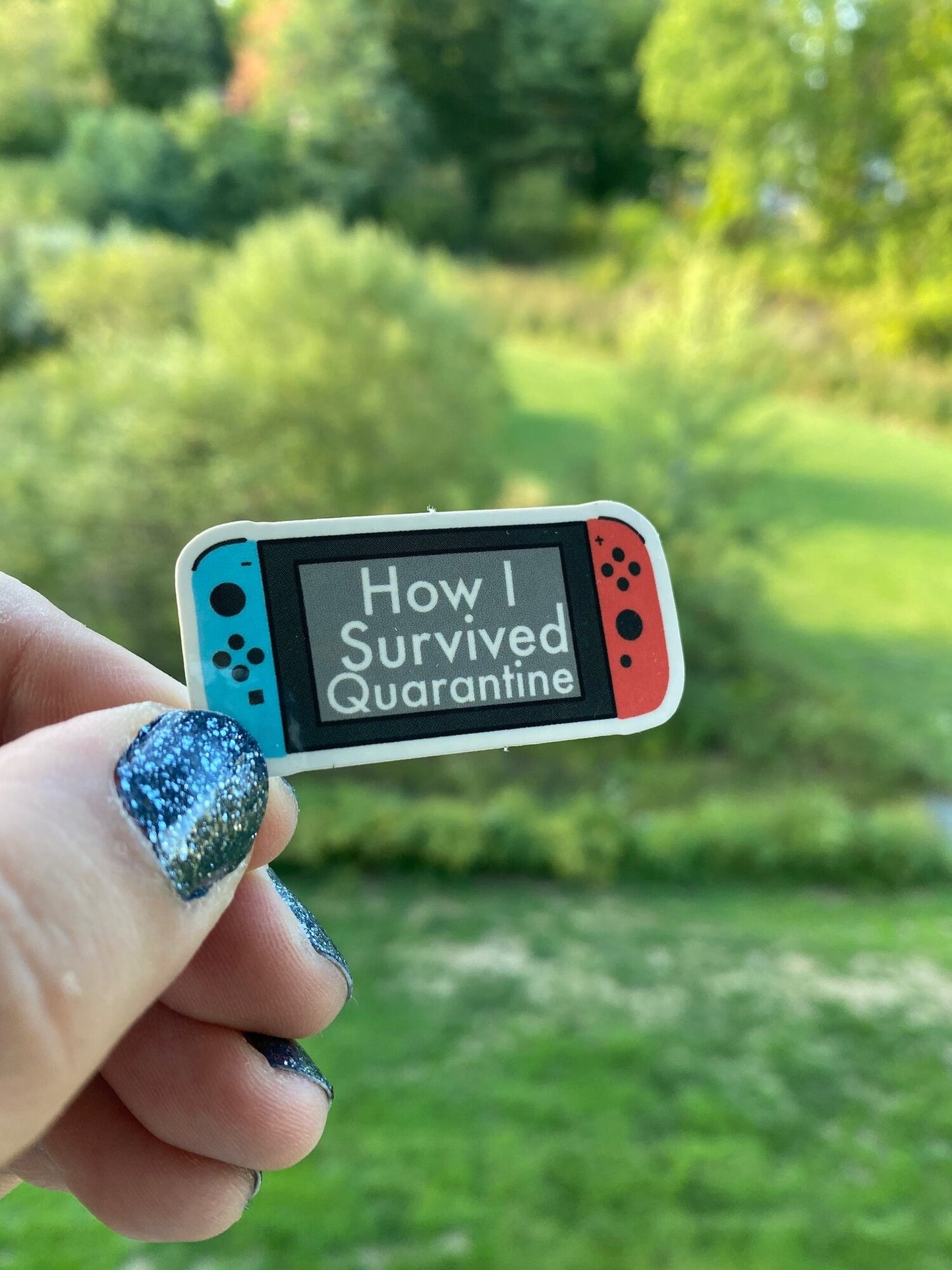 Nintendo Switch Quarantine Sticker