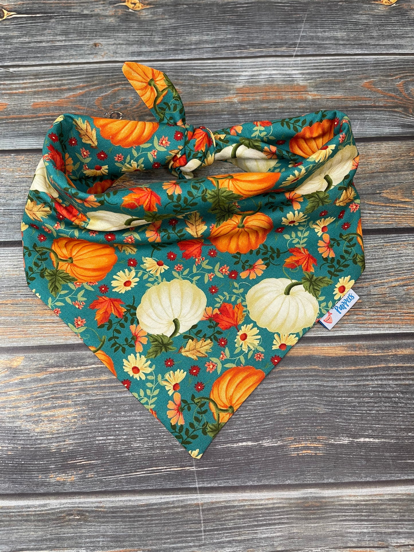 Autumn Pumpkins and Foliage Dog Bandana