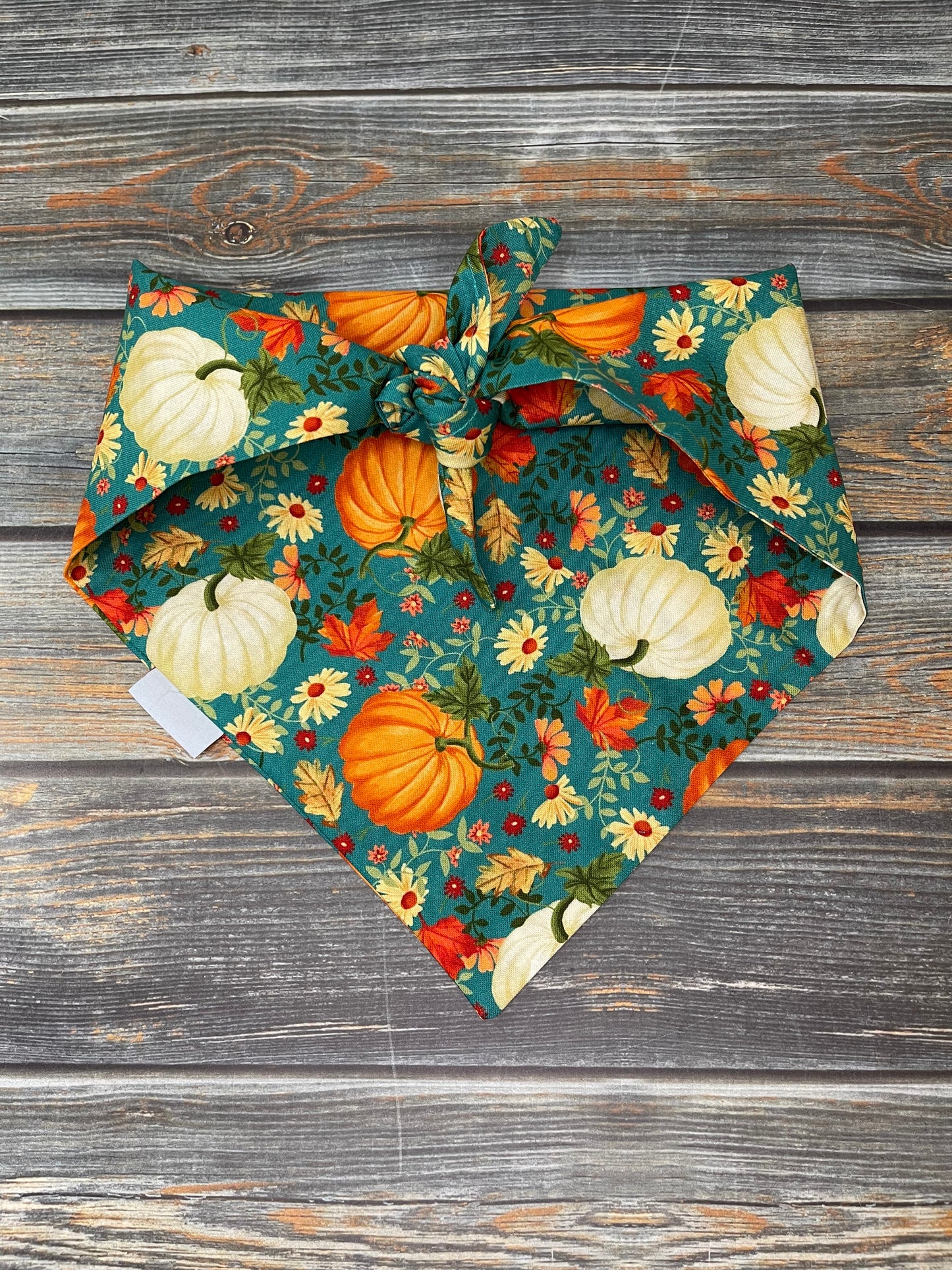 Autumn Pumpkins and Foliage Dog Bandana