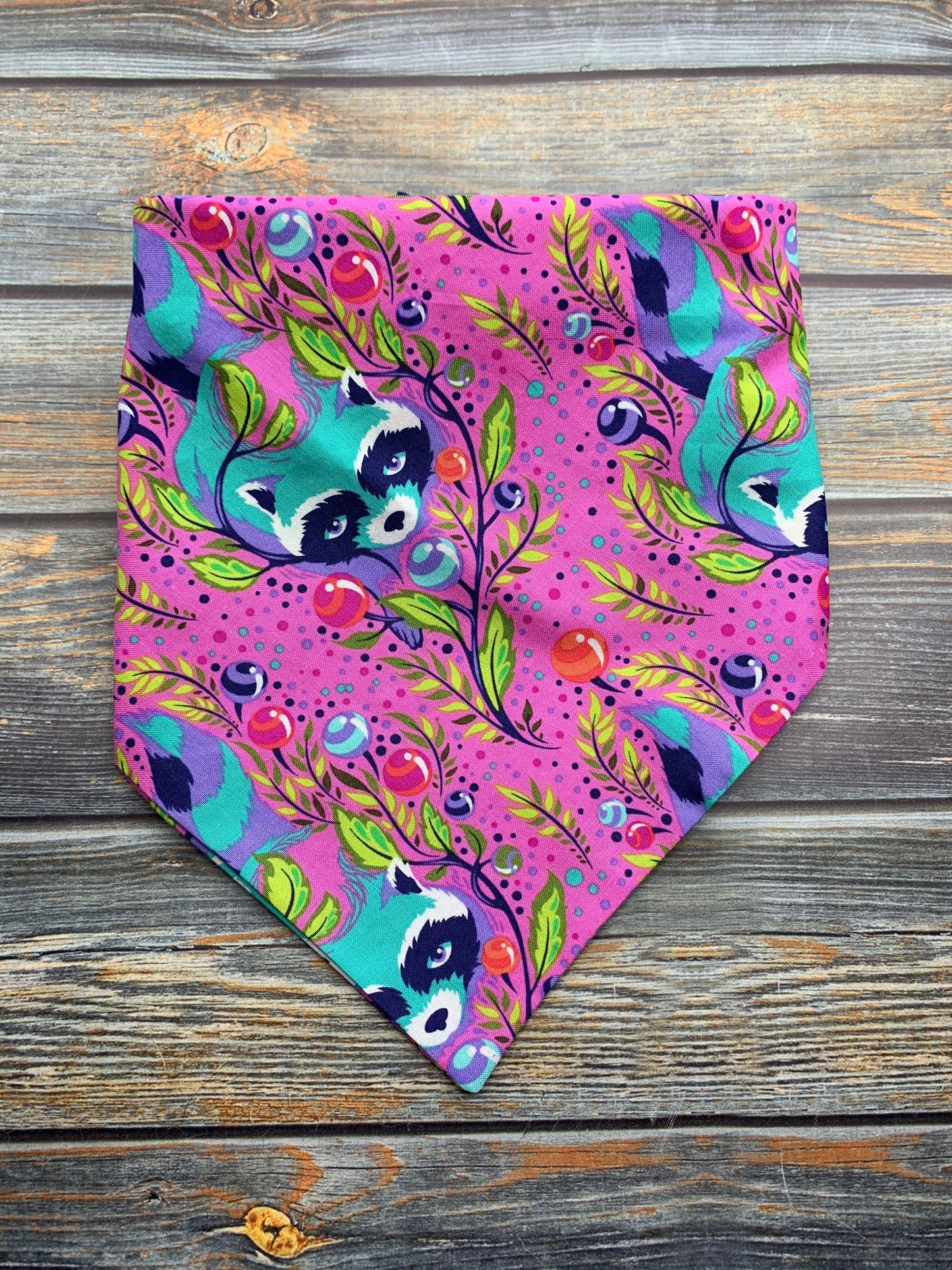 Rocky Raccoon Dog Bandana