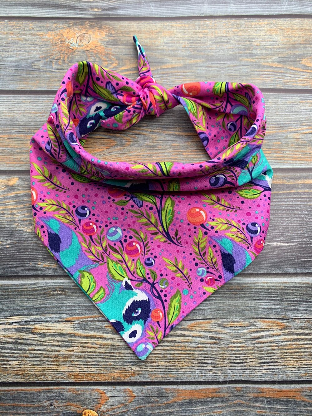 Rocky Raccoon Dog Bandana