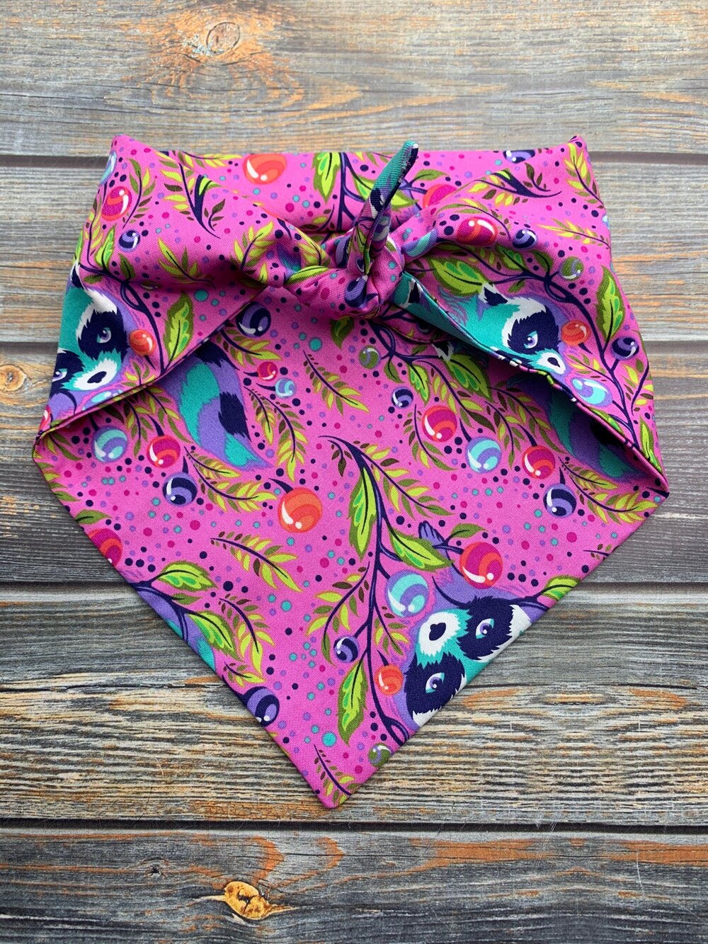 Rocky Raccoon Dog Bandana