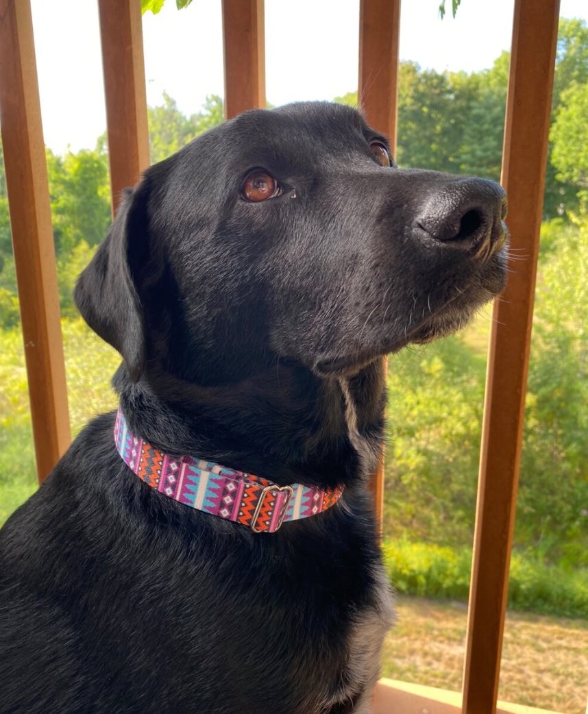 Santa Fe Collar