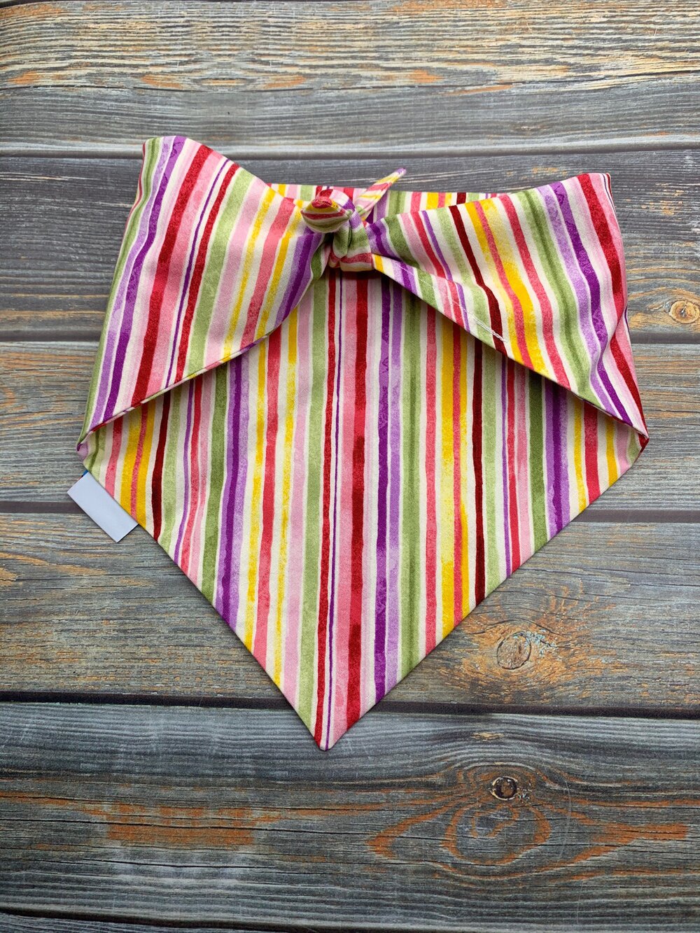 So Many Stripes Dog Bandana