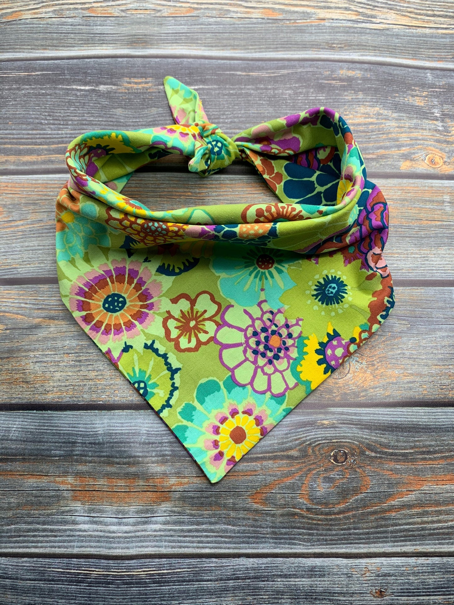 Spring Fever Dog Bandana
