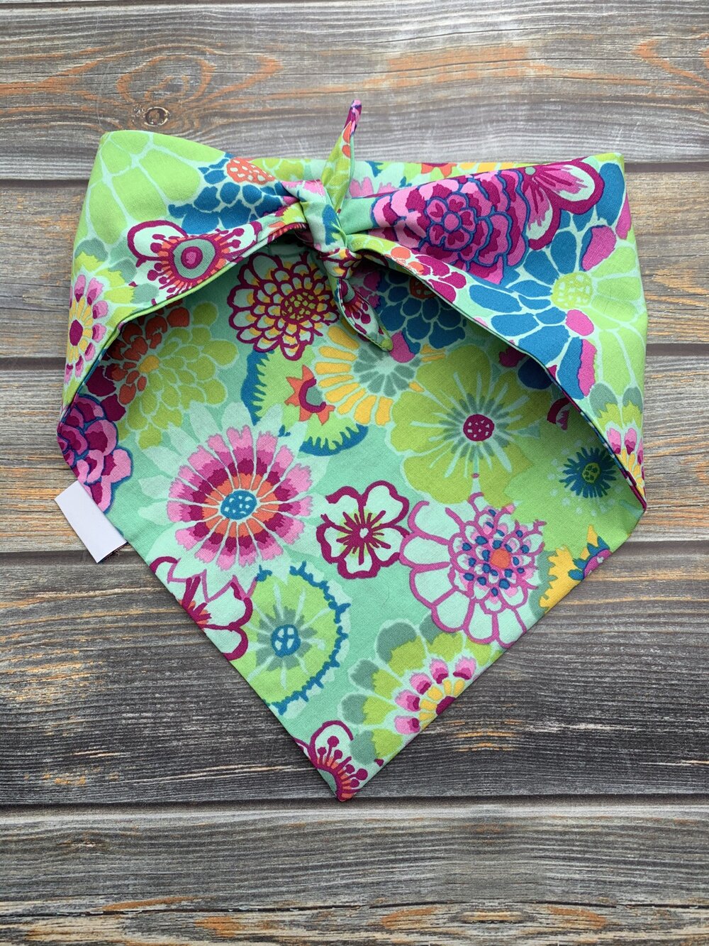 Spring Has Sprung Dog Bandana
