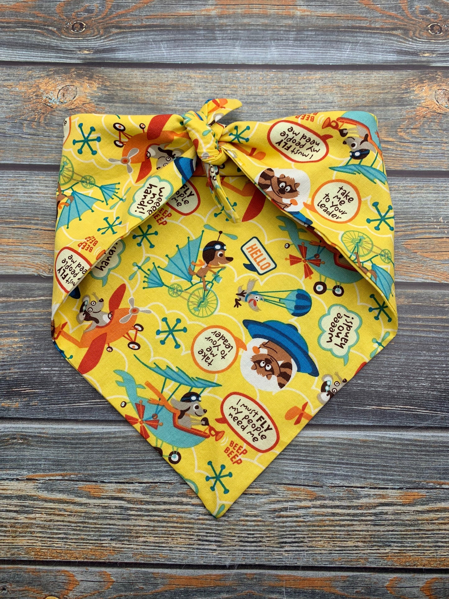 Take Me to Your Leader Dog Bandana