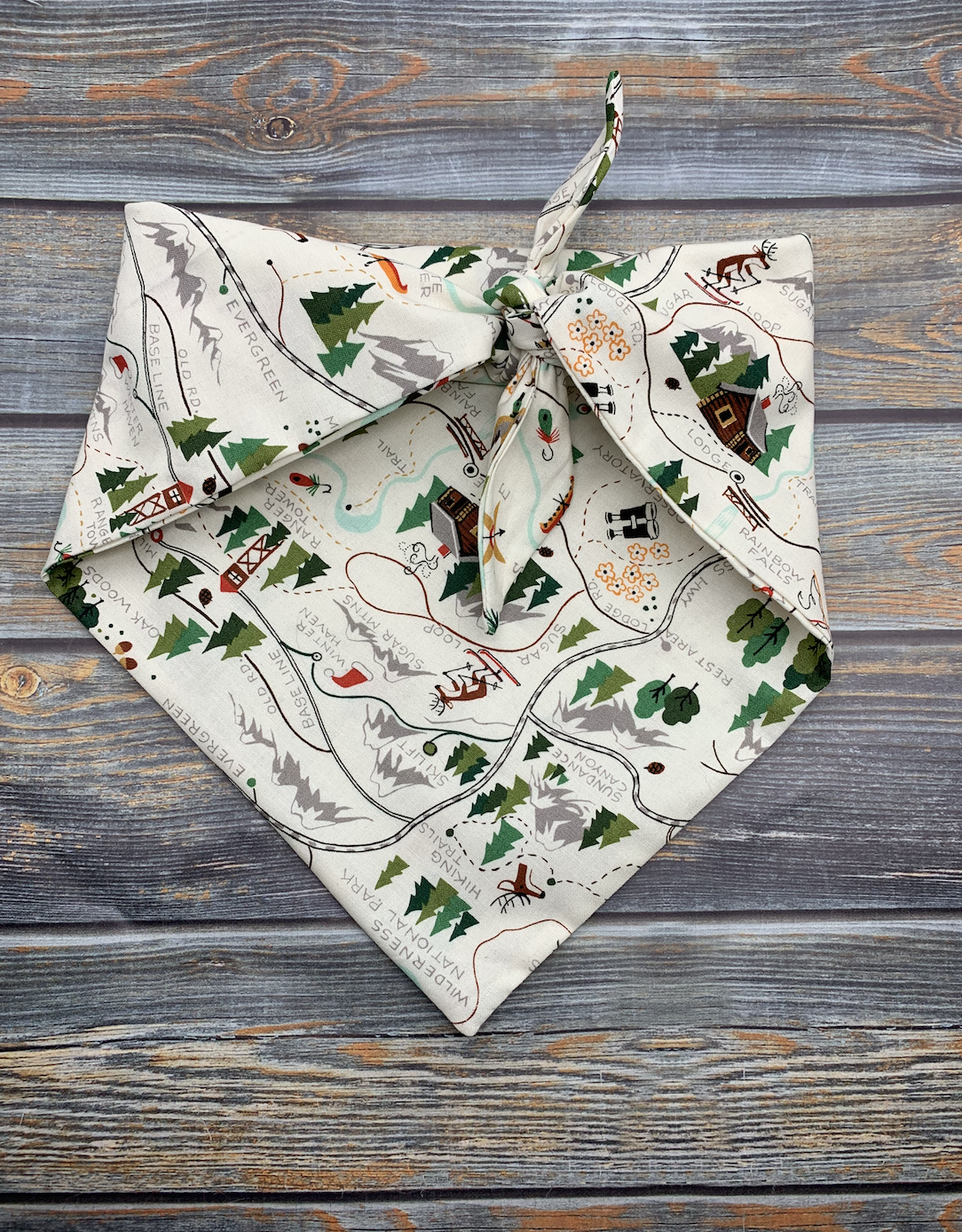 Trail Map Dog Bandana