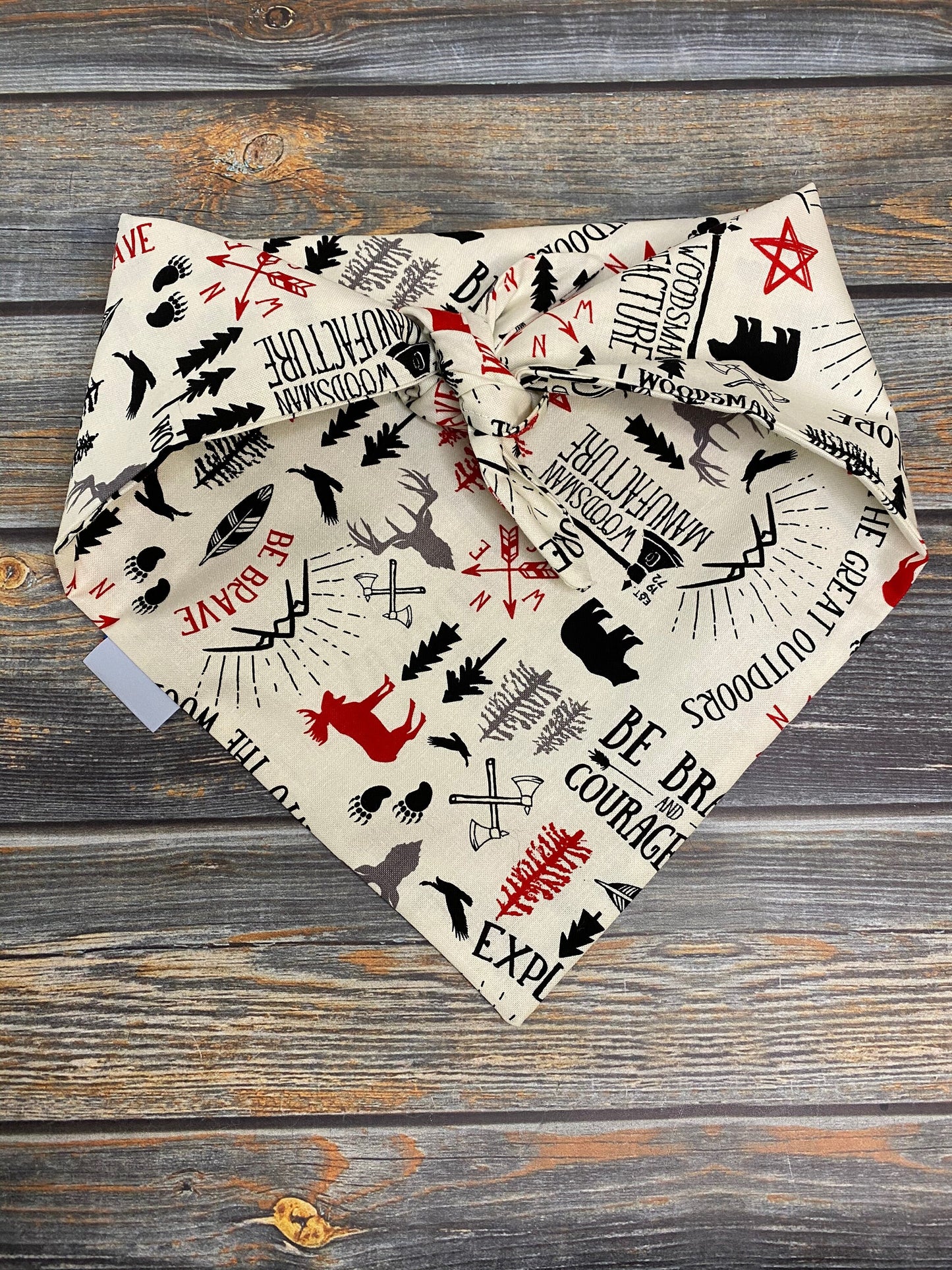 Adventure is Out There Dog Bandana
