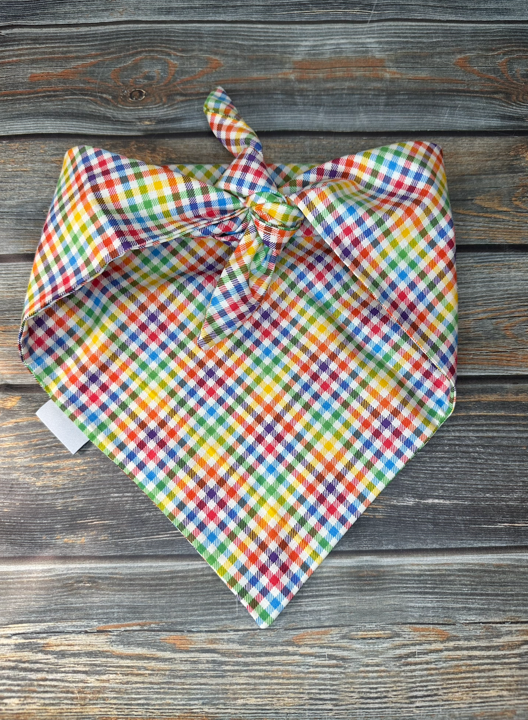 Rainbow Gingham Dog Bandana