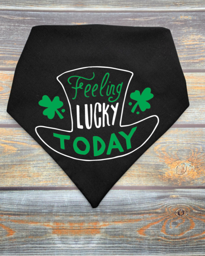 Feeling Lucky Today