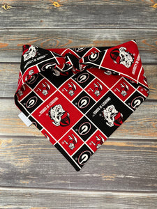 University of Georgia Bulldogs