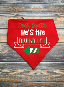 Dear Santa, He's the Naughty One