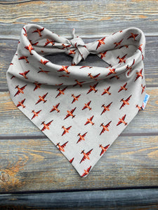 Little Red Planes