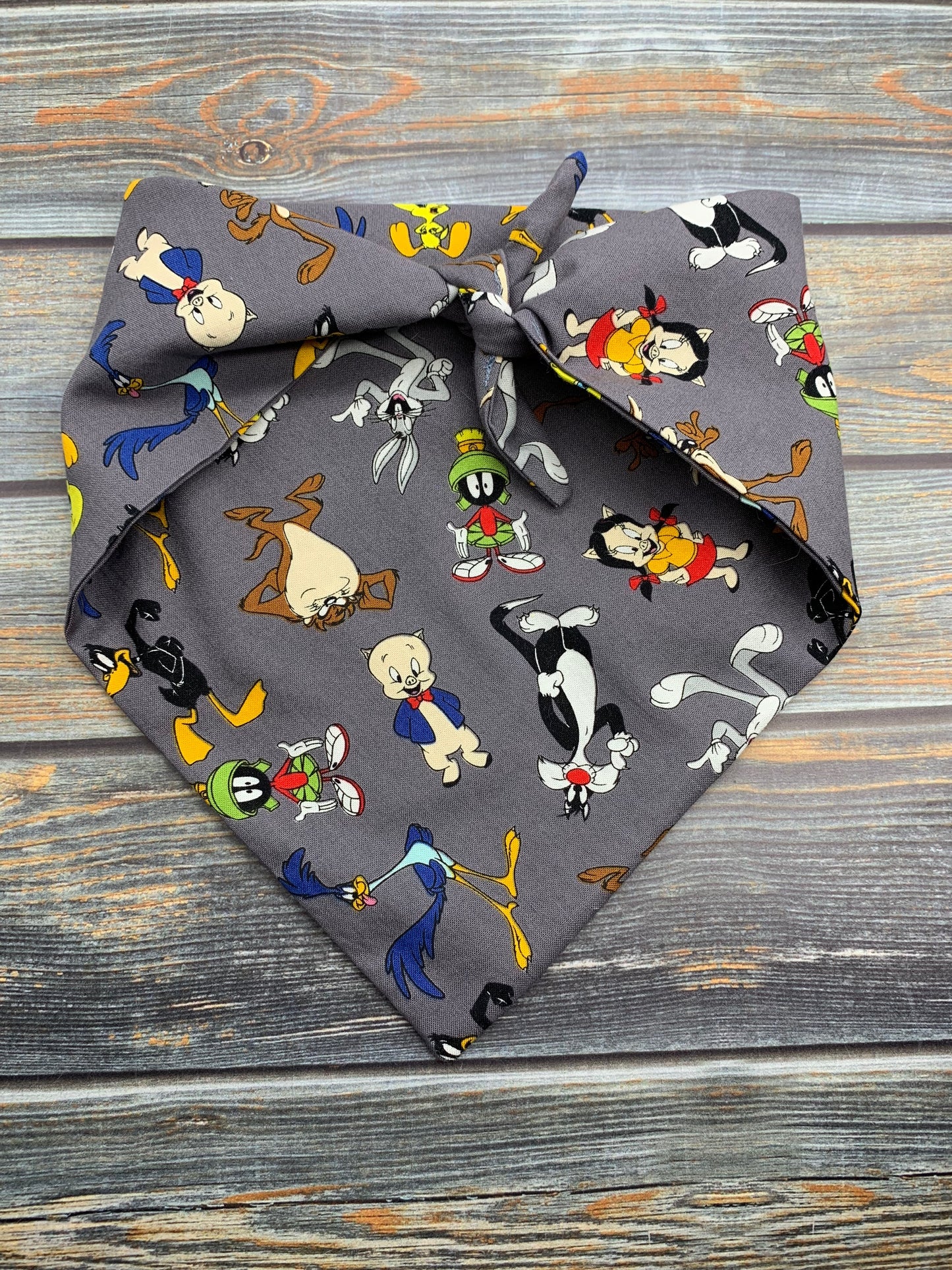 Looney Tunes Dog Bandana