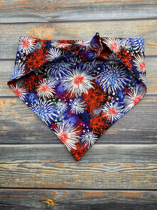 Patriotic Fireworks