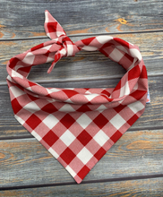 Load image into Gallery viewer, Picnic Gingham
