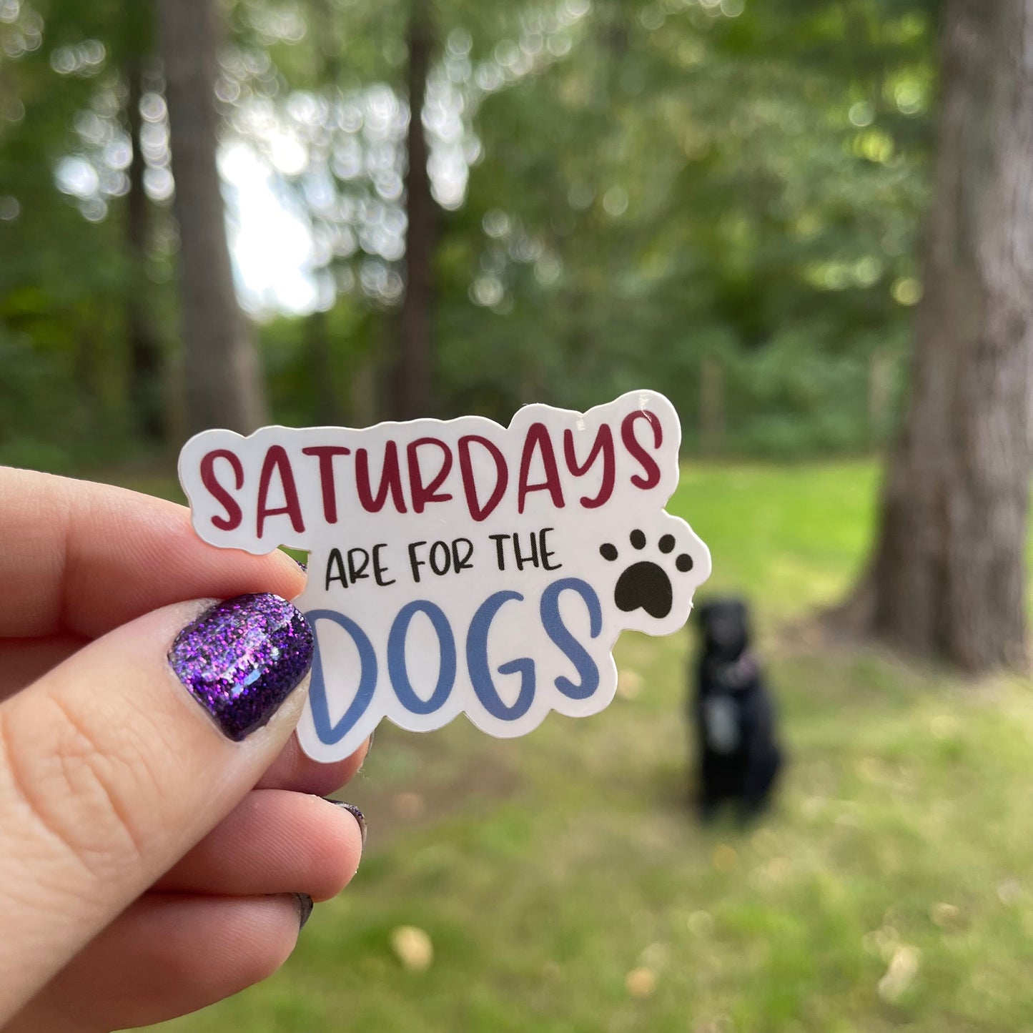 Saturdays are for the Dogs Sticker
